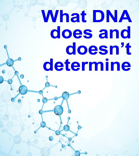 STUDY: What DNA does and doesn’t determine