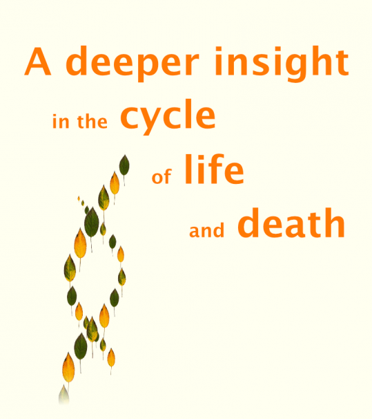 Study: Living better by thinking about death