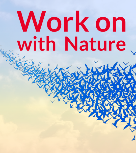 Theme: Work on with Nature