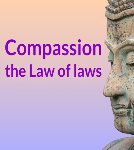 Theme: Compassion - the Law of laws